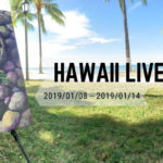 海外ライブペイント企画に90万以上の費用節約に成功した!