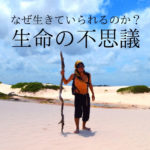 摩訶不思議！白砂漠レンソイス！雨季に突然現れる幻の魚の謎！！