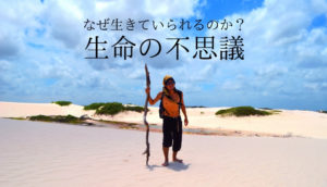 摩訶不思議!白砂漠レンソイス!雨季に突然現れる幻の魚の謎!!