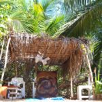 メキシコのビーチ沿にある小さな田舎町マスンテに画家アトリエを作った話。