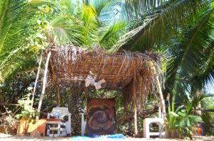 メキシコのビーチ沿にある小さな田舎町マスンテに画家アトリエを作った話。